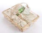 "Fresh Produce" Sweet Pea Five-Piece Organic Layette Set baby favors