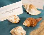 Natural Selections Collection Shell Design Place Card Holders baby favors
