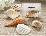 "Shells by the Sea" Authentic Shell Placecard Holders with Matching Placecards baby favors