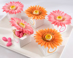 "Daisy Delight" Gerbera Daisy Favor Box baby favors